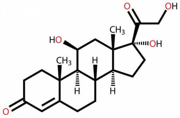 Cortisol chemical compound.