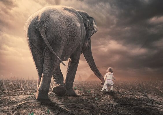 a little girl and elephant holding hands
