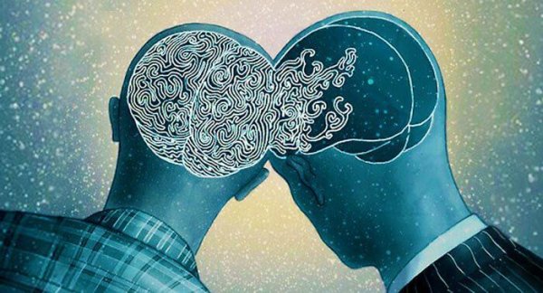 two heads together, brains connected