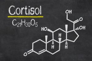 Cortisol, the Stress Hormone