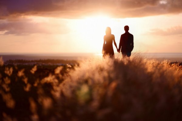 a couple in a field at sunset