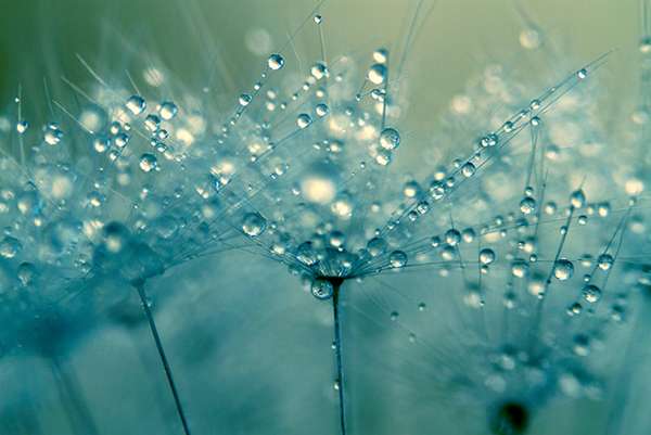Water droplets.