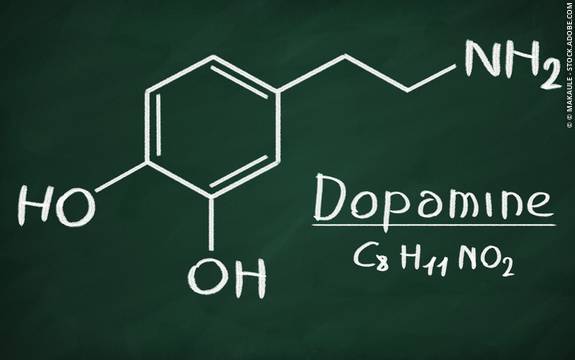What is Dopamine and What Does it Do?