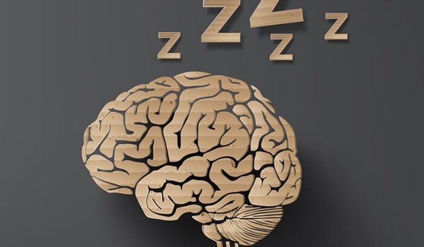 a brain sleeping