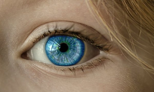 a close-up of a blue eye