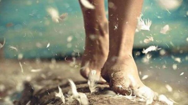 walking barefoot with feathers flying