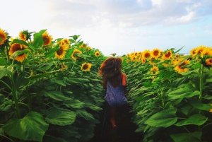 5 Once-in-a-Lifetime Moments No Human Being Forgets