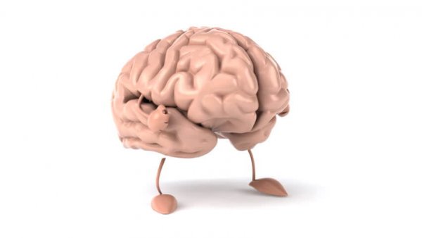 Hiking and changes in the brain.