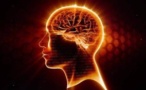 Omega-3: The Best Neuroprotector Ever