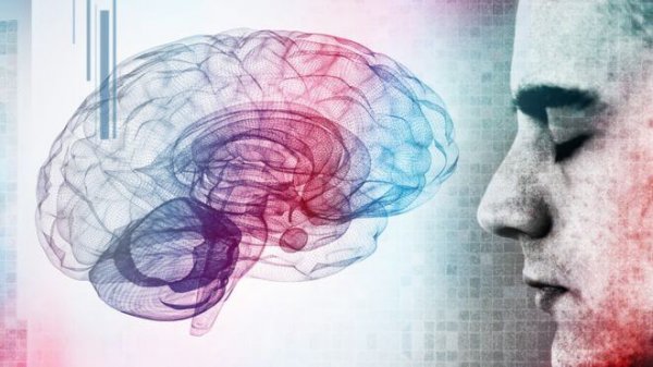 a man and a brain