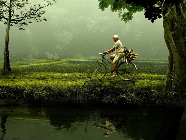 You are capable: an older man riding a bicycle by a pond.
