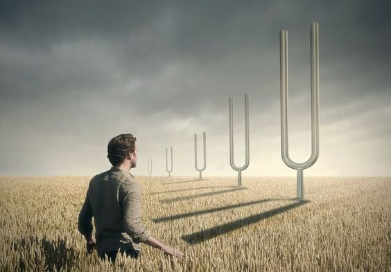 a man in a corn field