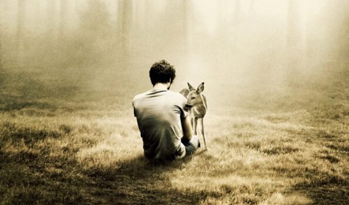 a man dealing with loneliness and anxiety in a meadow with a deer