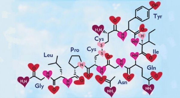 the chemistry of love: oxytocin molecule