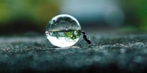 Persistence is the Food of Dreams