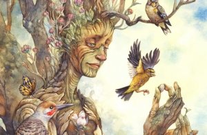 What Trees Can Teach You about Finding Happiness