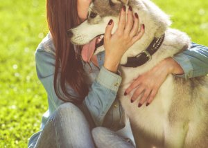 What Does It Mean When You Dream About Dogs?