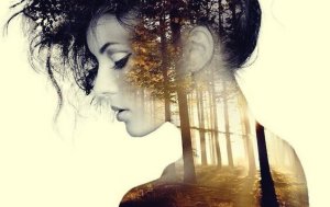 What Happens to Us after 30 Minutes of Silence and Solitude?