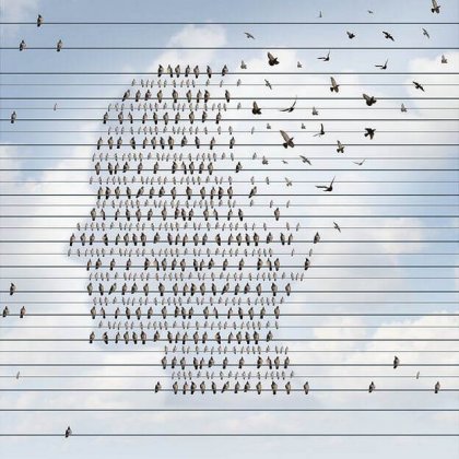birds making head shape