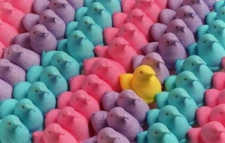 Colorful ducks that are perfectly in order.