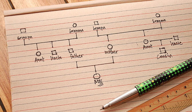 A Step-by-Step Guide to Making a Genogram - Exploring your mind