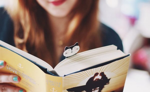 Reading and the Brain: Have You Heard About What Reading Does to Your Brain?