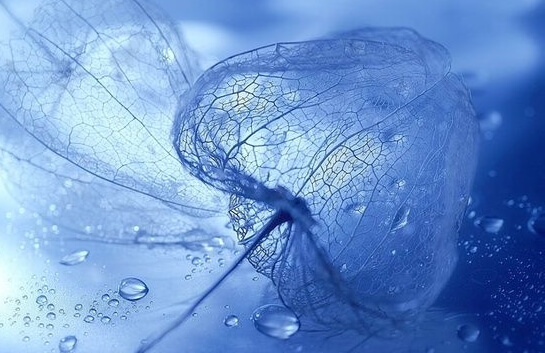 Blue, the stress-relieving color.