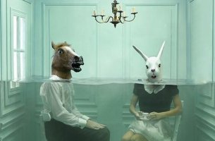 Horse and Rabbit headed people
