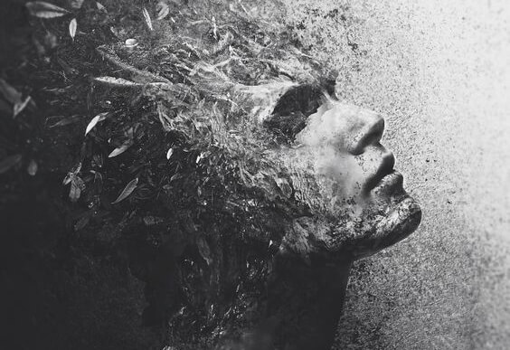 Male face covered in feathers.