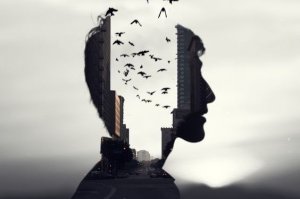 Selective Memory - Why Do We Remember Some Things And Not Others?
