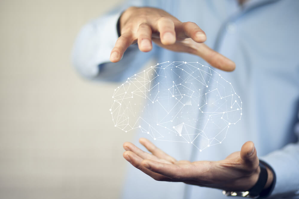 The brain and neuroscience.