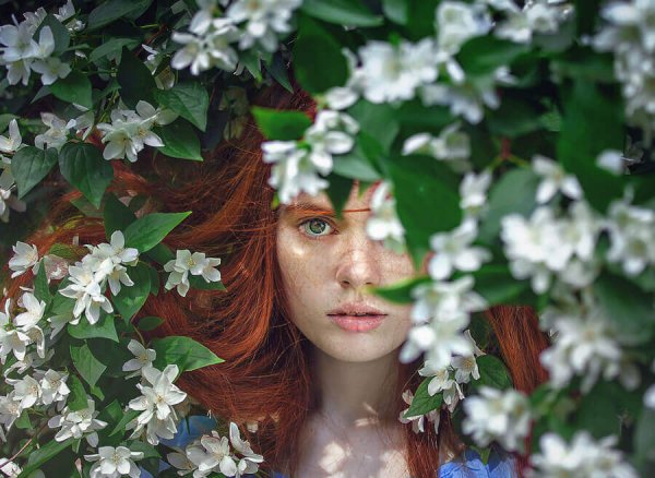 woman-among-white-flowers woman and flowers