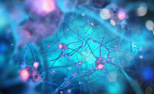 Synaptic connections.