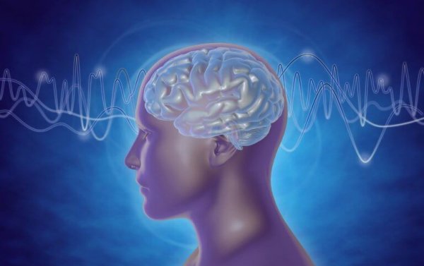 Brainwaves Types of brain waves: Delta, Theta, Alpha and Gamma
