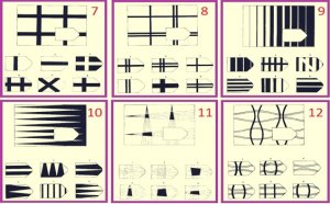 Raven's Progressive Matrices: What Are They For?