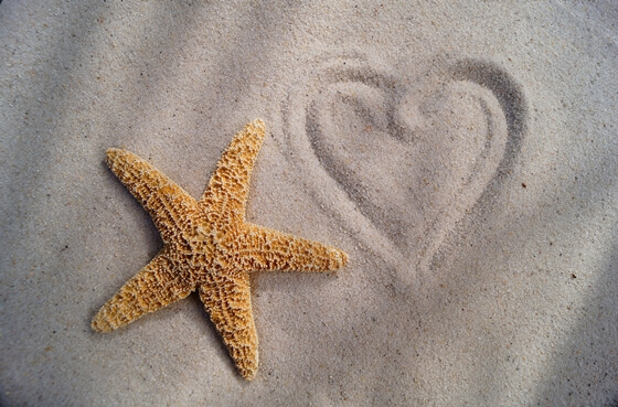 Starfish next to a heart drawn in the sand.