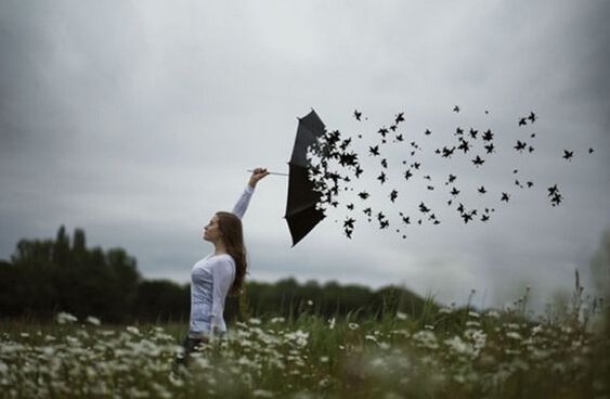 A woman with an umbrella turning into birds.