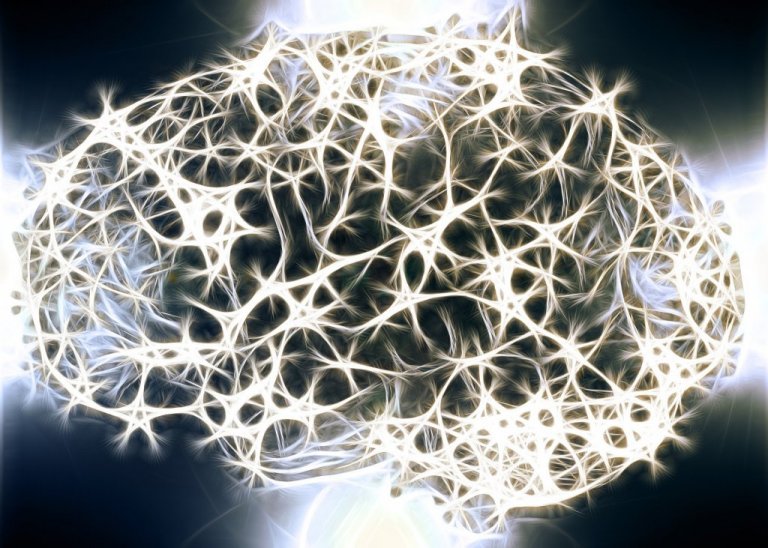 Do you know why the White Matter in our Nervous System is so Important?