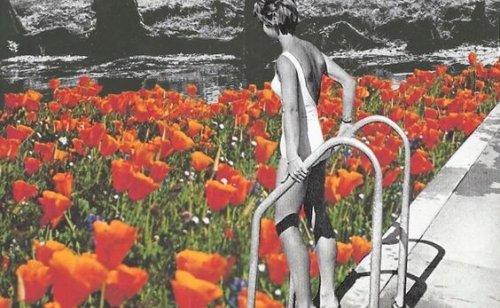 Woman entering pool of flowers