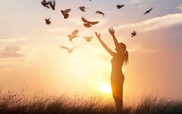 Arms up with birds in the sunset.