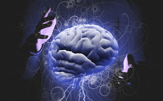 A pair of hands around a human brain.