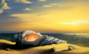 The Insula, the Source of Our Emotions and Empathy