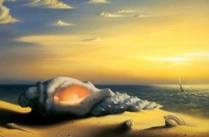 A seashell on the shore.