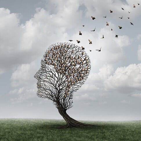 Birds flying from head-shaped tree