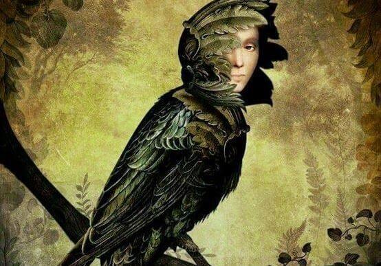 A bird with a human face.