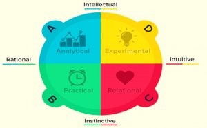 Brain Dominance According to the Herrmann Quadrants: What's Your Type?
