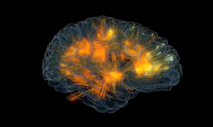 A gif of a brain and its synapses.