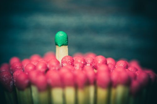 A different matchstick than the rest. Sociology.