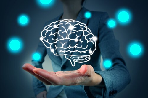 A brain in a hand.