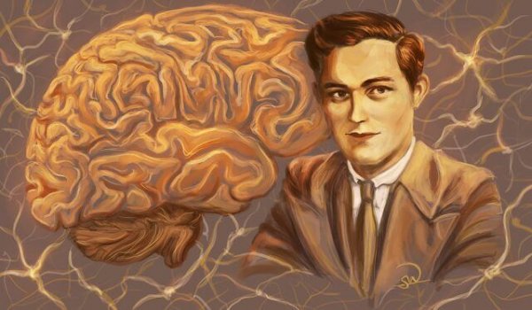 Three Clinical Cases that Changed How We View the Brain - Exploring ...